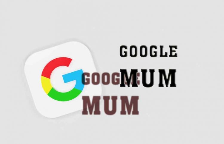 https://best4you.com.tr/google-mum/