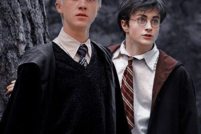 Warum hasst Draco Harry?