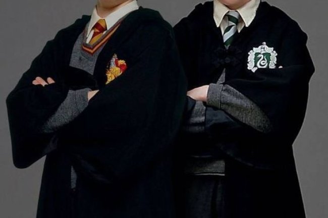 War Draco in Harry Potter verliebt?