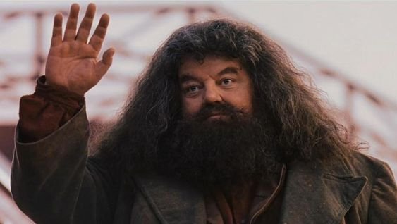 Warum starb Hagrid?