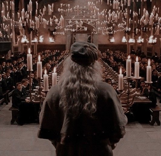 Was heißt Wingardium Leviosa auf Deutsch?