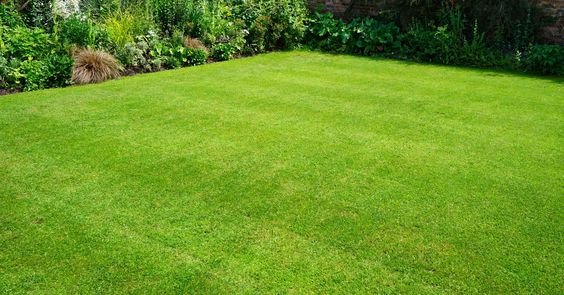 Wie viel kostet 1 m² Kunstrasen?